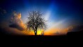 /album/fondos-de-pantalla-para-tu-compu/wallpaper-1080p-67-jpg/