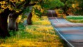 /album/fondos-de-pantalla-para-tu-compu/paisajes-naturales-102-jpg/